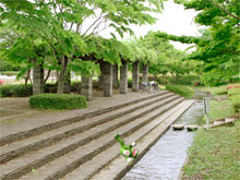 国分寺2